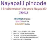 Nayapalli pincode
