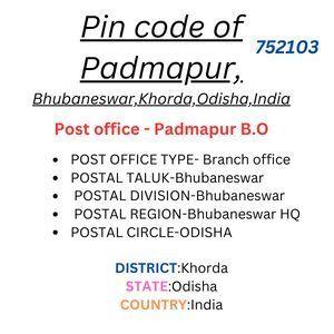 Pin code of Padmapur